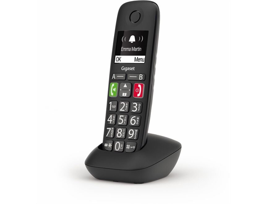 Gigaset E290HX