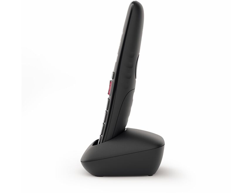 Gigaset E290HX