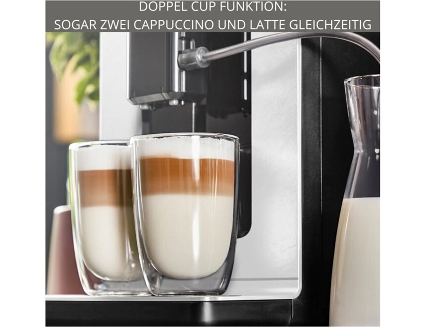 Krups EA897A Evidence Ecodesign