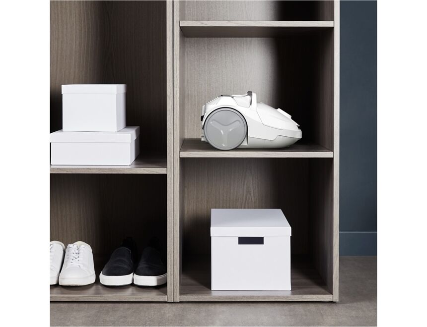 Rowenta RO3957EA Compact Power