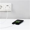 Hama 201650 Mini-Schnellladegerät USB-C (20W)