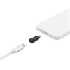 Hama USB-C>Lightning Adapter