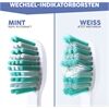 happybrush ECO VIBE KIDS Aufsteckbürsten Agnes