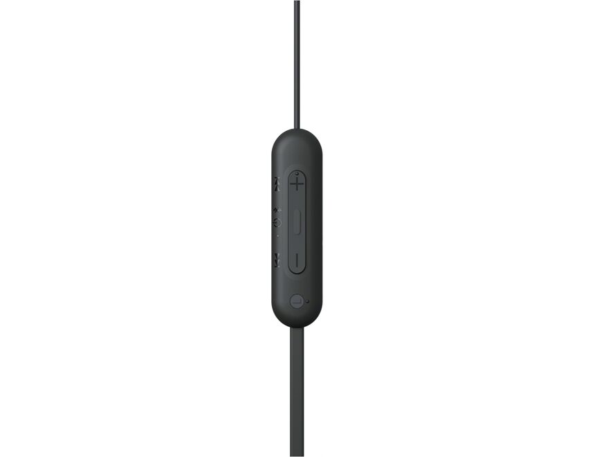 Sony WIC100B