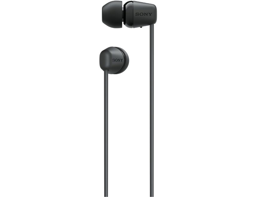 Sony WIC100B