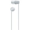Sony WIC100W