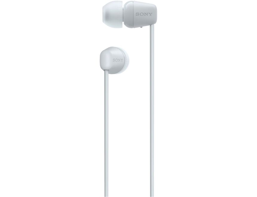 Sony WIC100W