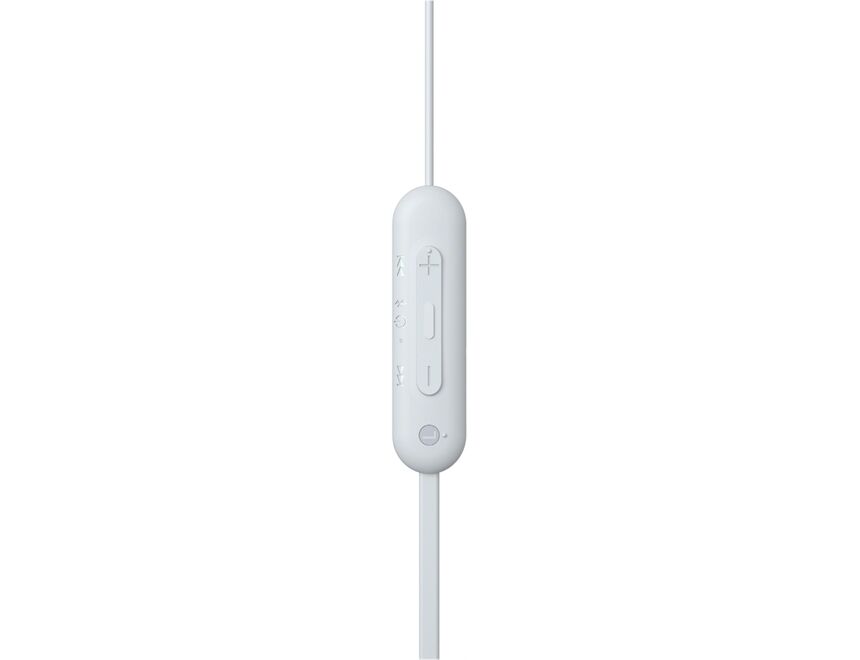 Sony WIC100W