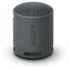 Sony SRS-XB100B