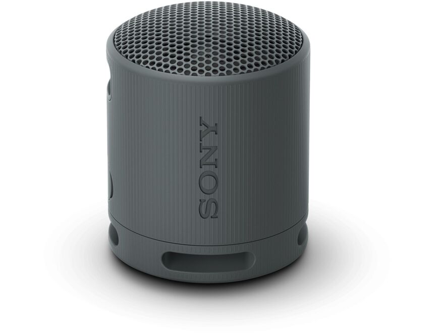 Sony SRS-XB100B