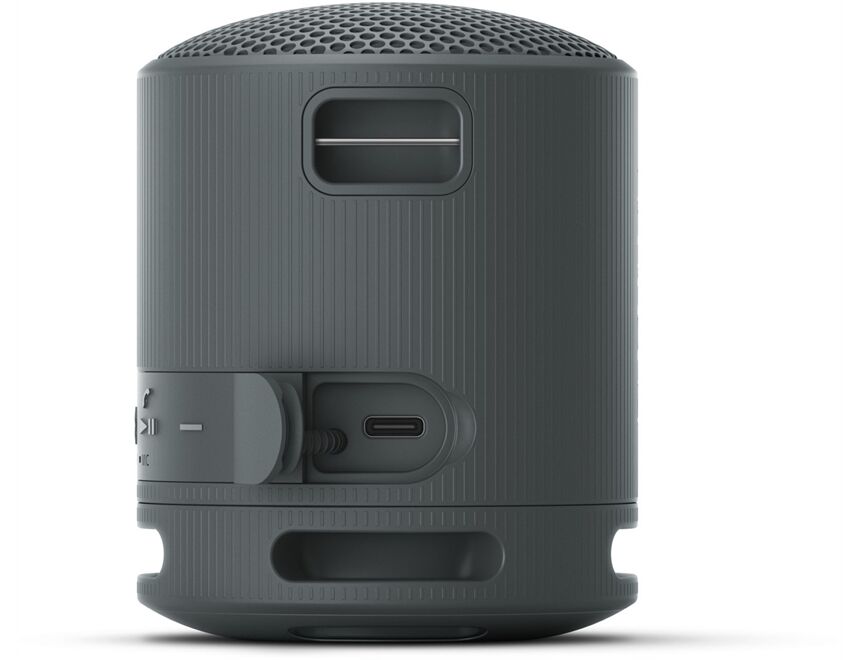 Sony SRS-XB100B