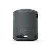 Sony SRS-XB100B