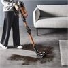 Rowenta RH 9A30WO XForce Flex 13.60 Anniversary
