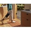 Sonos Move 2