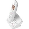 Panasonic KX-TGC420GW