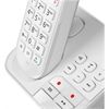 Panasonic KX-TGC420GW