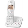 Panasonic KX-TGC420GW