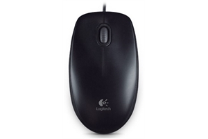 Logitech B100