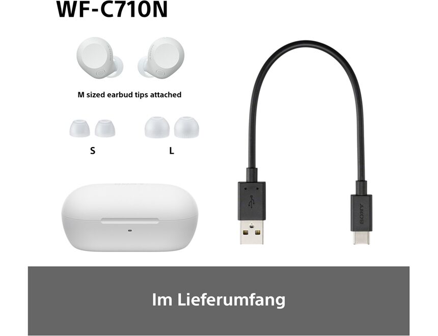 Sony WF-C710NW