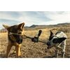 gopro MAX 360
