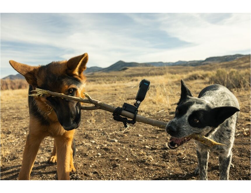 gopro MAX 360