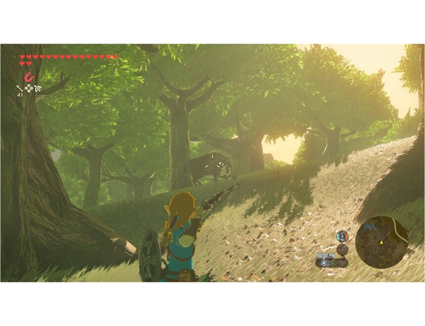 Nintendo The Legend of Zelda: BOTW