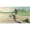 Nintendo The Legend of Zelda: BOTW