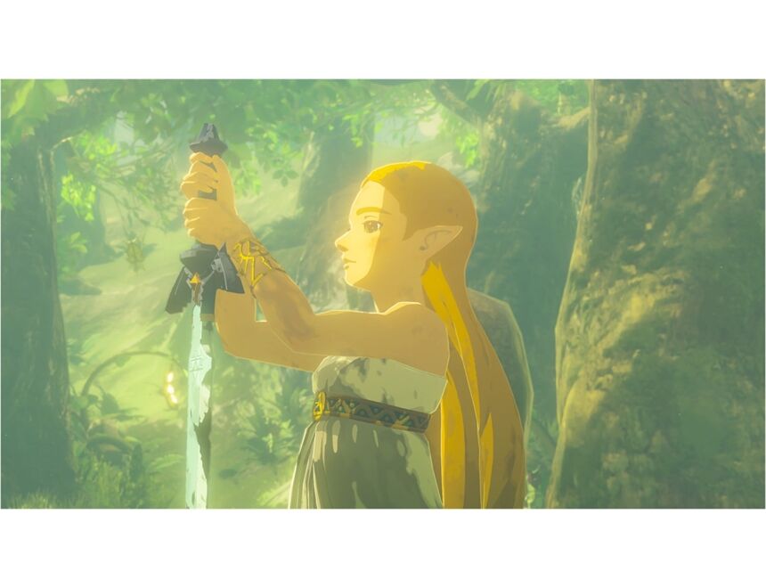 Nintendo The Legend of Zelda: BOTW
