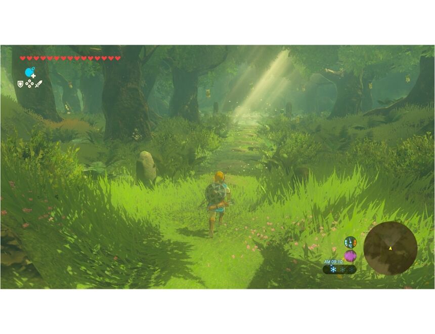 Nintendo The Legend of Zelda: BOTW