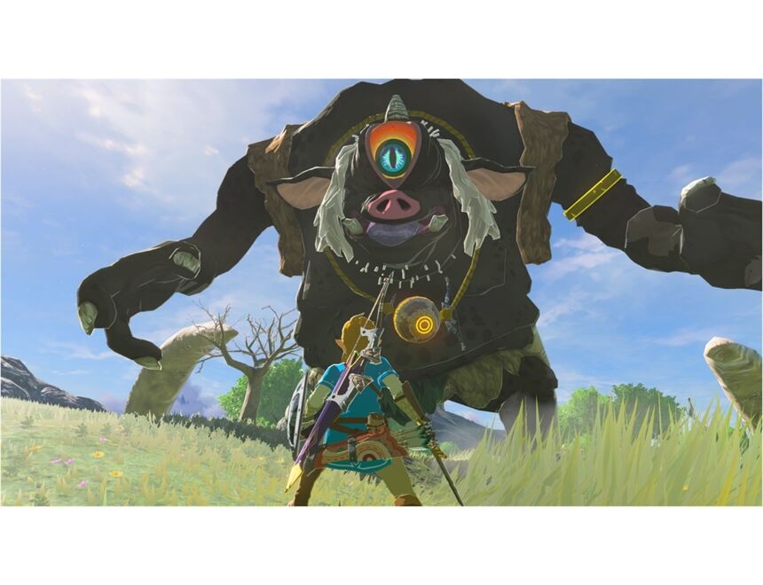 Nintendo The Legend of Zelda: BOTW