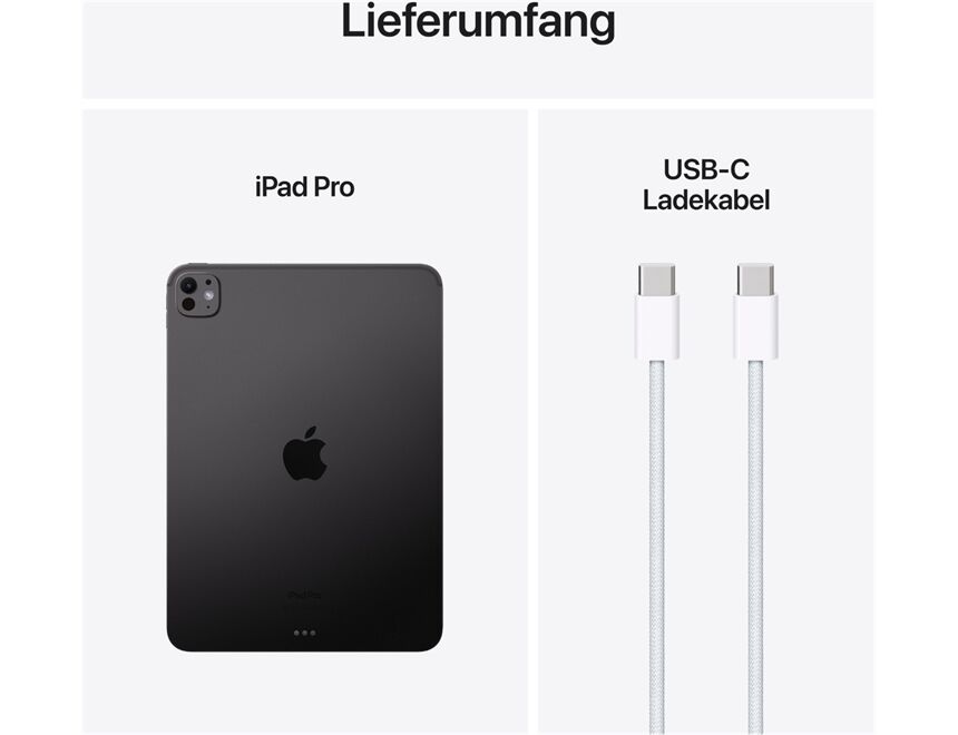 Apple iPad Pro 11" (2TB) WiFi