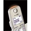 Panasonic KX-TGE262GN