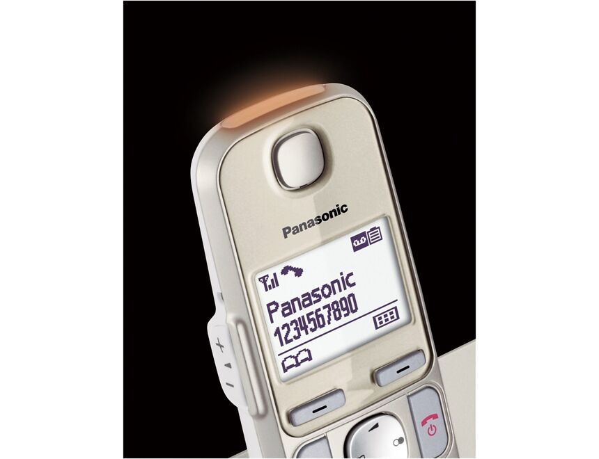 Panasonic KX-TGE262GN