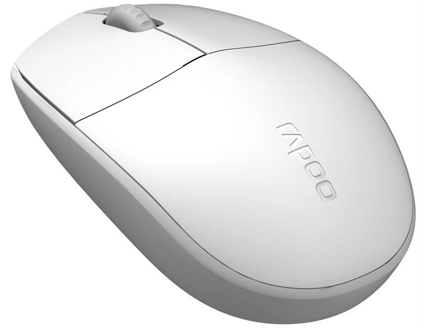 Rapoo N100