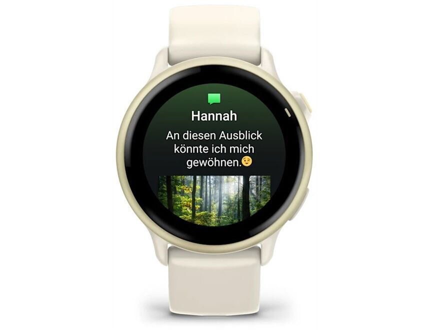 Garmin vivoactive 6