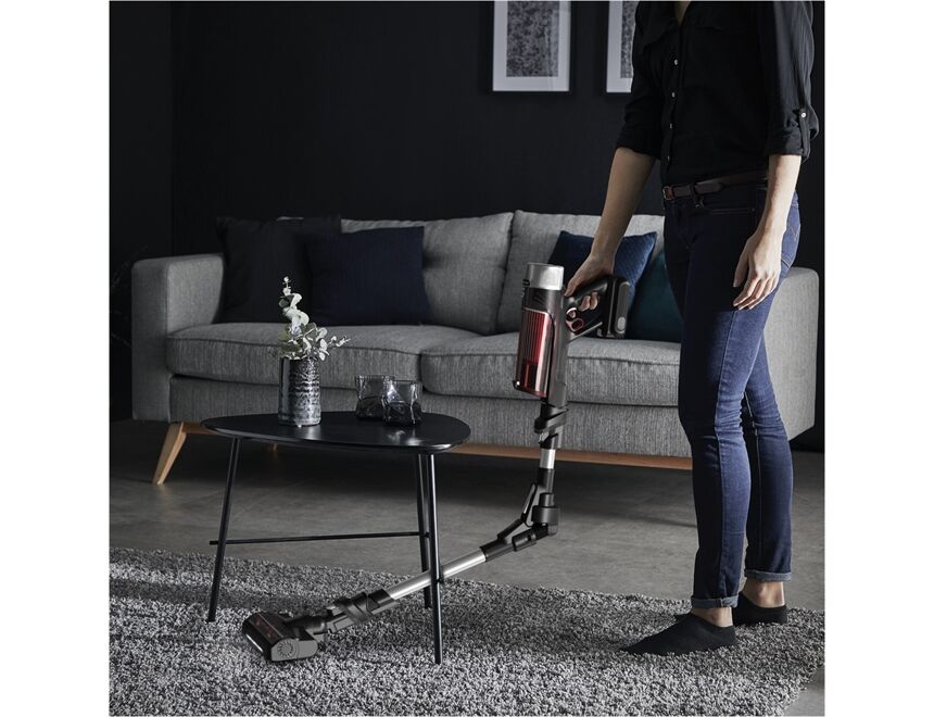 Rowenta RH2077 XForce Flex 9.60 Animal