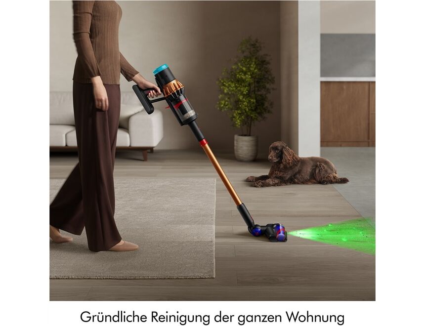 Dyson V16 Piston Animal