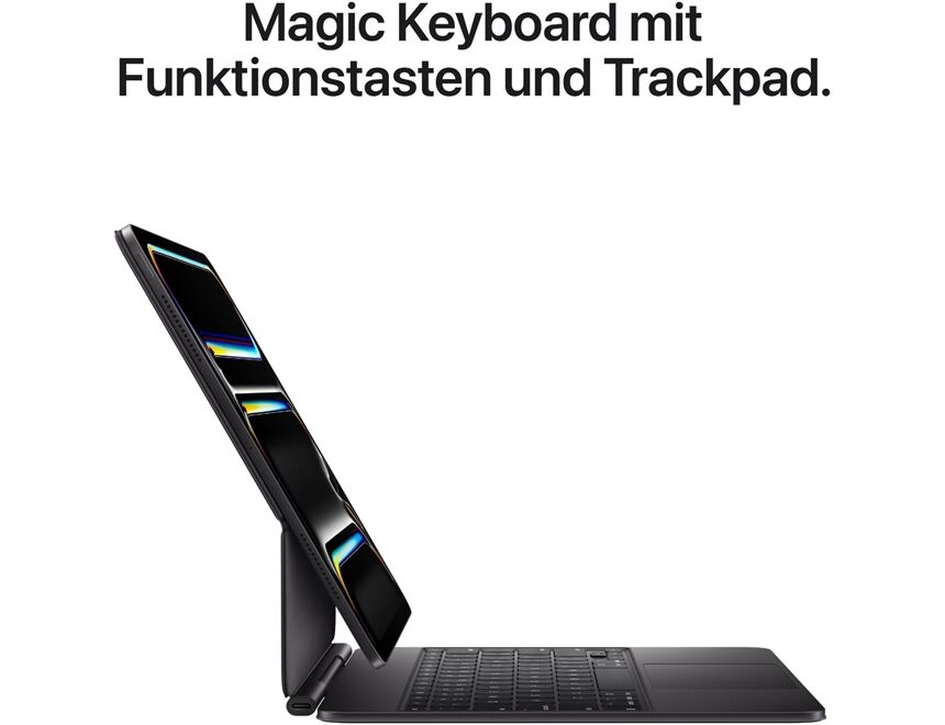 Apple iPad Pro 11" (256GB) WiFi M5