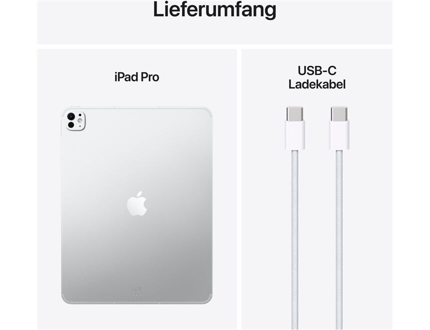 Apple iPad Pro 13" (256GB) WiFi + 5G M5