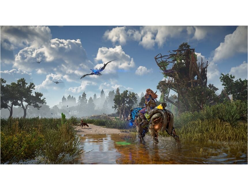 Sony PS4 Horizon Forbidden West