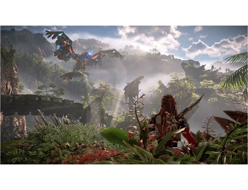 Sony PS4 Horizon Forbidden West