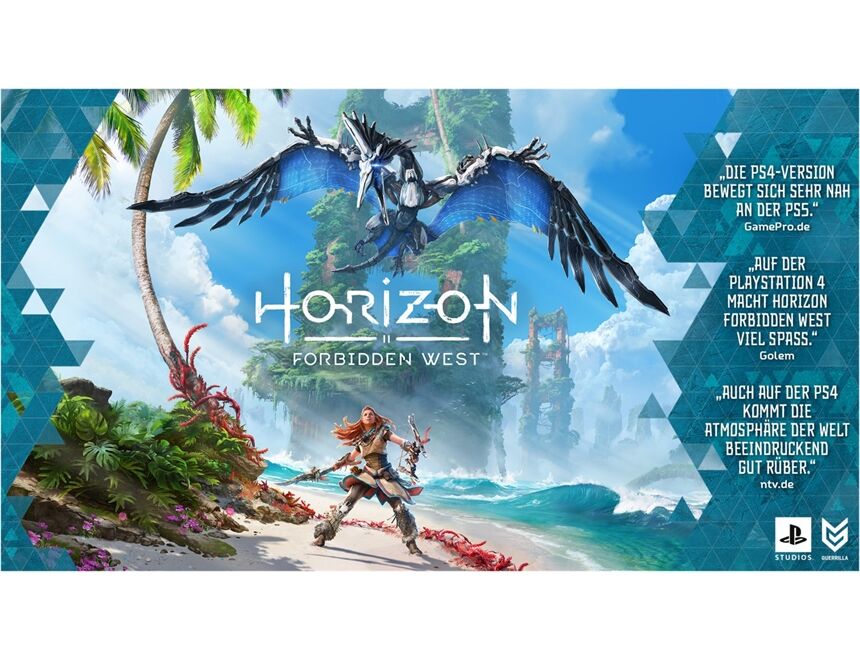 Sony PS4 Horizon Forbidden West