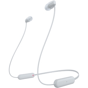 Sony WIC100W