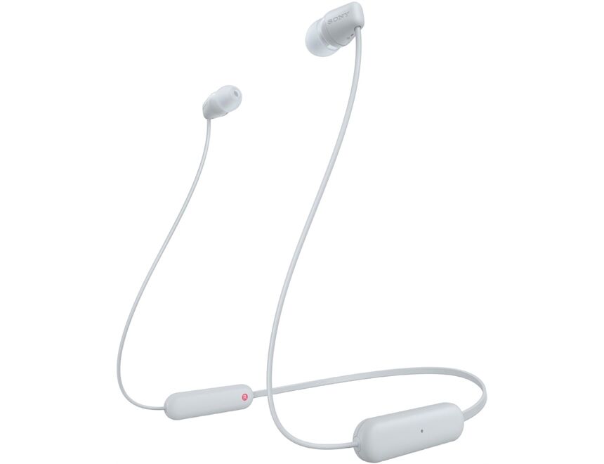 Sony WIC100W