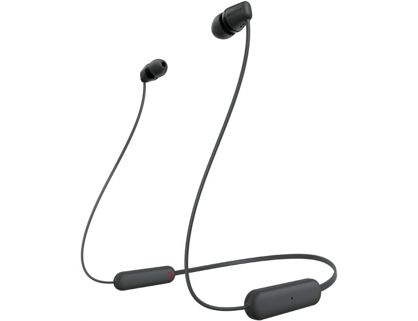 Sony WIC100B