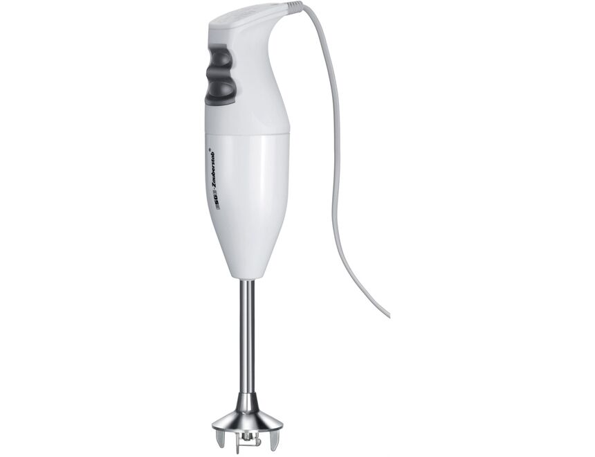 ESGE M 100 D Stabmixer