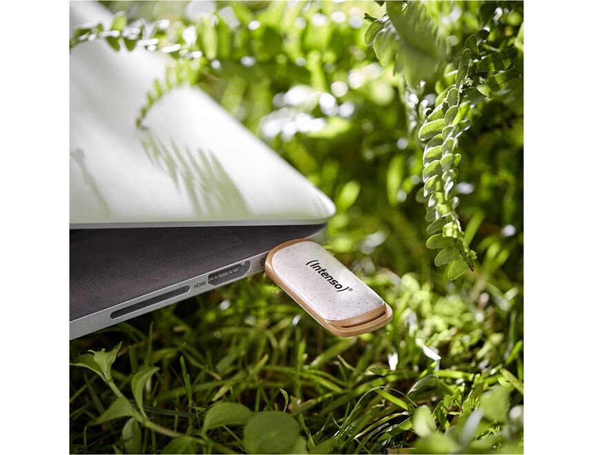 Intenso Green Line USB 3.2 Gen 1 (32GB)
