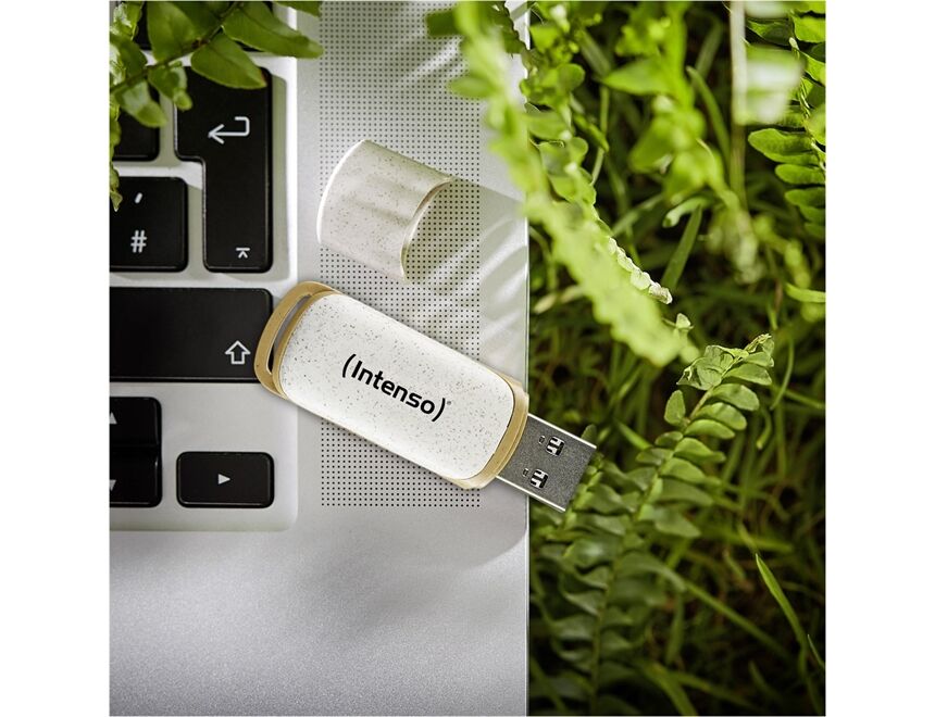 Intenso Green Line USB 3.2 Gen 1 (32GB)