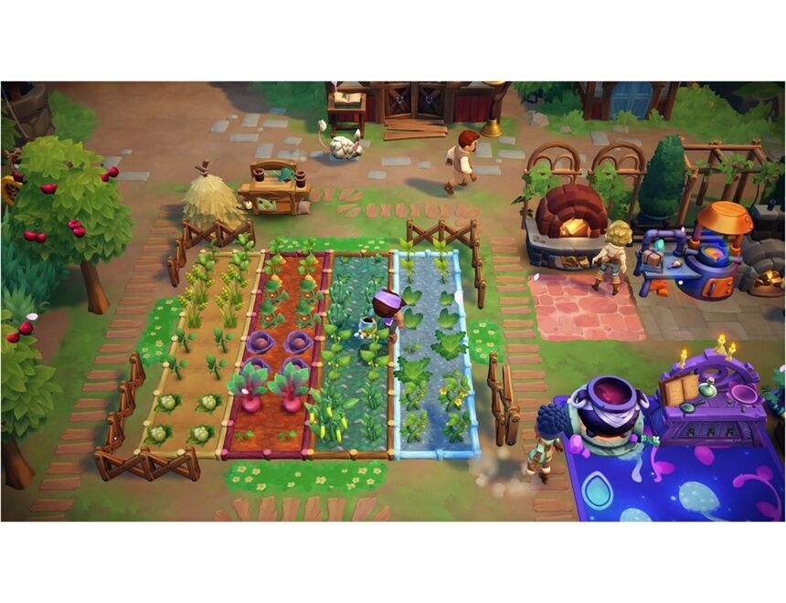 Nintendo Fae Farm