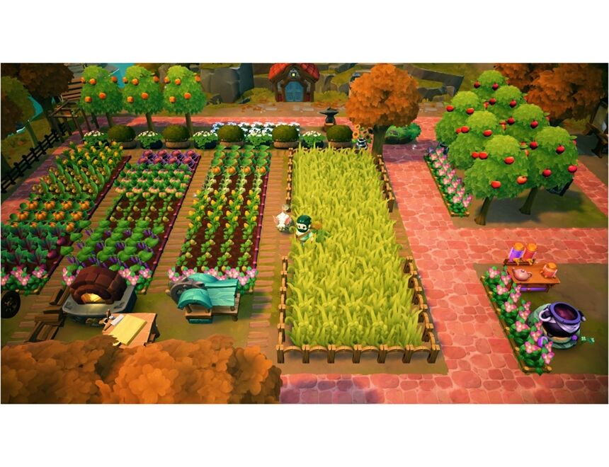Nintendo Fae Farm